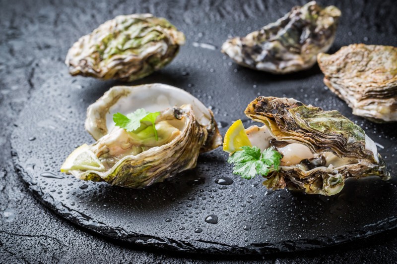 How to Tell if the Oysters You Find in Charleston Are Fresh