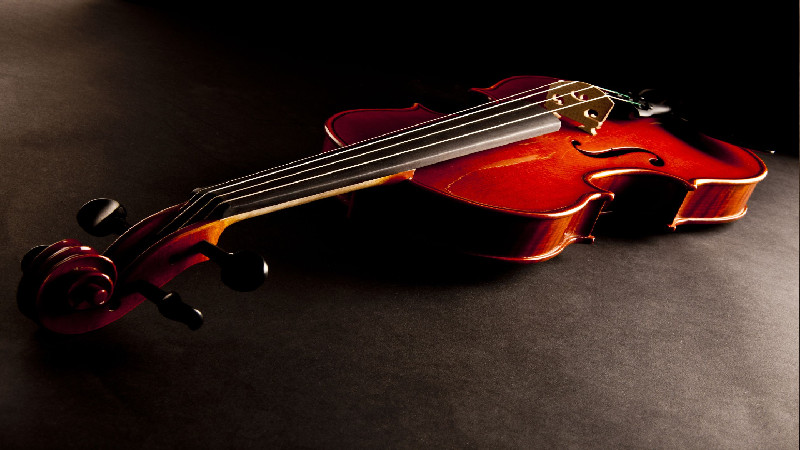 Bass Strings in Sugar Hill, GA Buying Guide