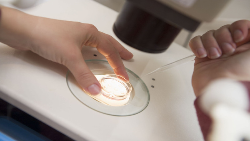 What to Expect at In Vitro Fertilization Clinics in Orange County