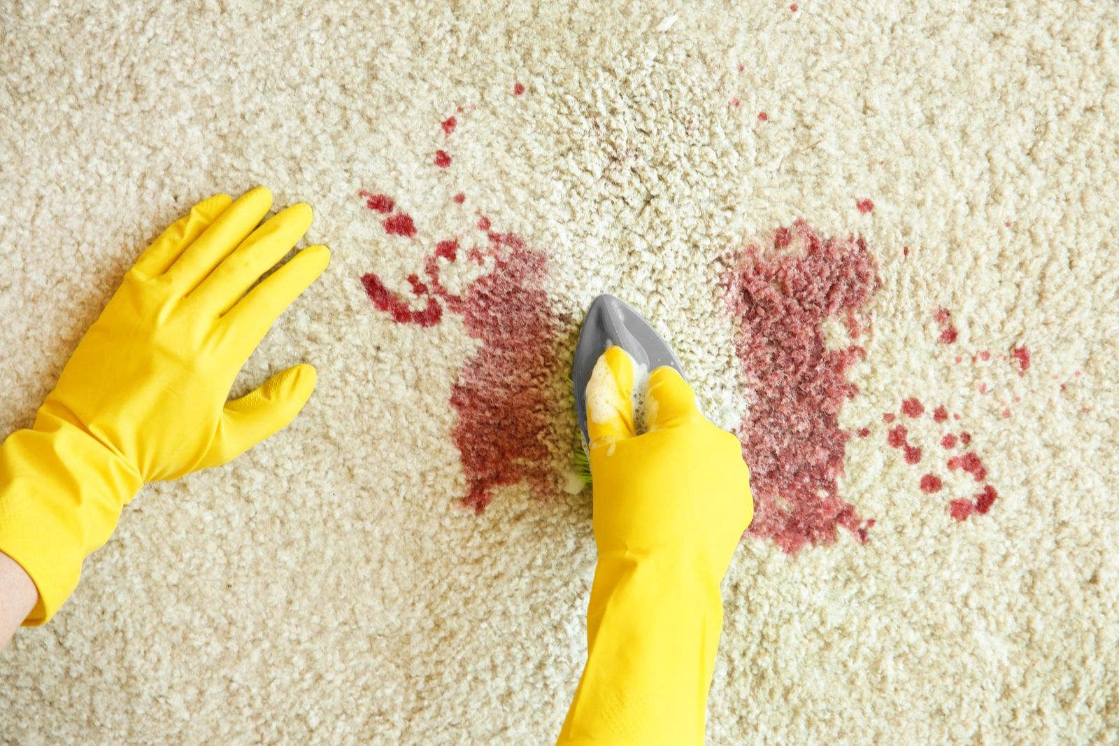 Tips for Choosing Crime Scene Cleaning Services in Washington