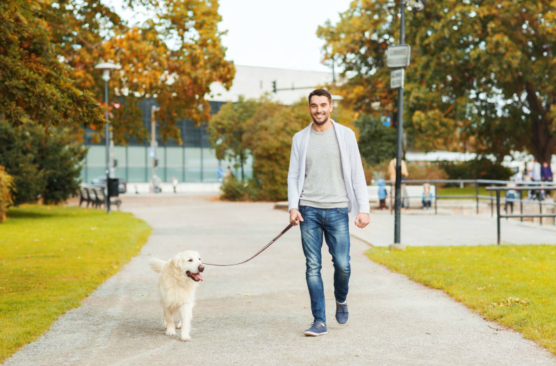 Choosing a Dog Walking & Pet Sitting Service Provider in NYC