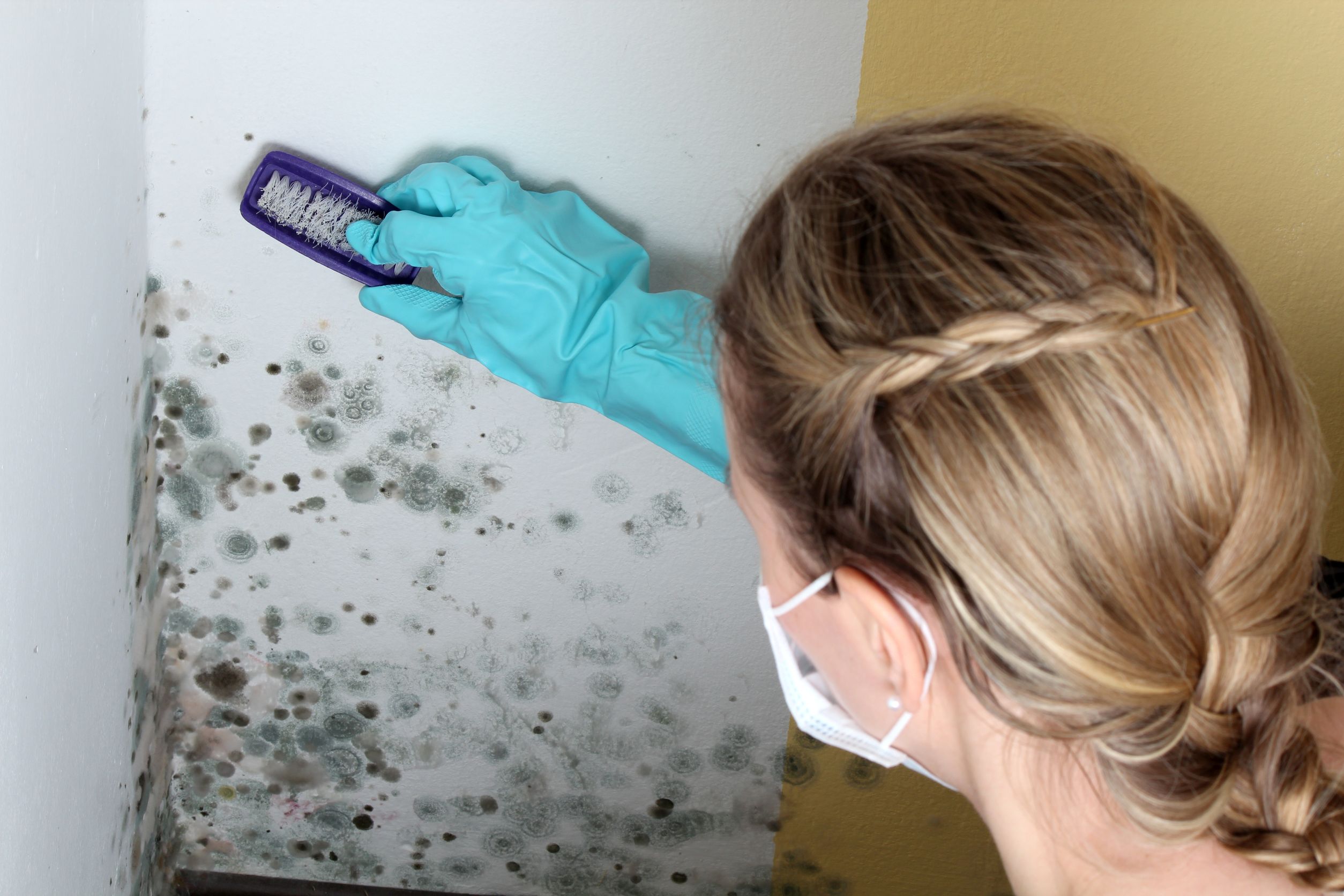 Safeguarding Your Family: The Need for Dryer Vent Cleaning in Adamstown, PA