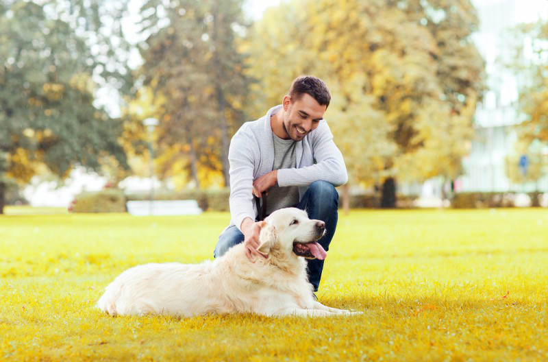 Let Your Pup Hit Its Healthy Stride With Dog Walking in Manhattan