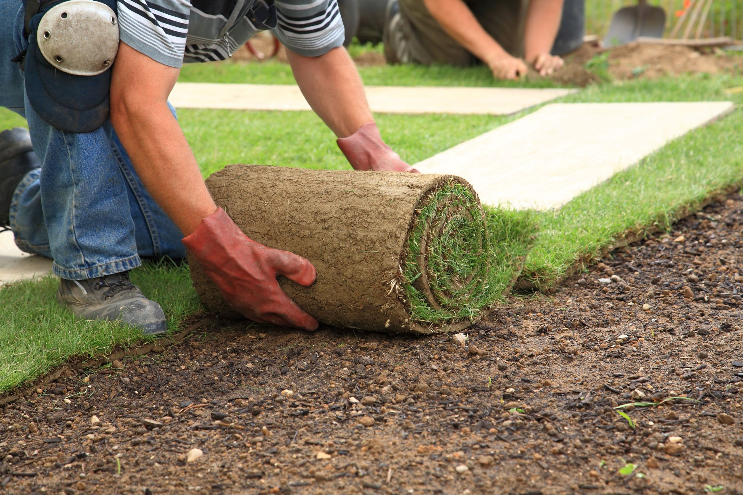 Boost The Curb Appeal Of Your Willmar Property With Landscaping Services