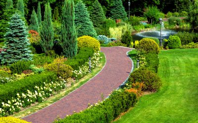 How Often Do You Need Yard Maintenance in Barrington?