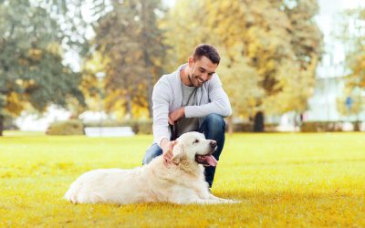 Caring For Your Pooch While You’re Gone: 3 Benefits Of Dog Boarding In NYC