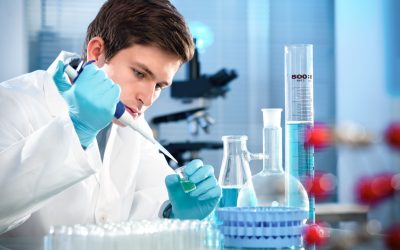 Make Your Path with a Bachelor’s in Biomedical Science