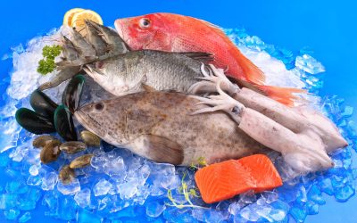 Your guide to pairing wine and Seafood Fredericton for a memorable dining night