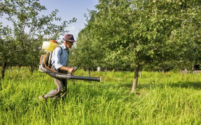 Achieve Effortless Lawn Care with a Tow Behind Fertilizer Spreader for Precise Results