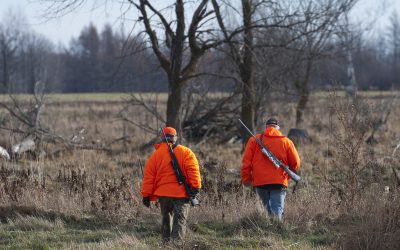 Planning a Family Getaway Enjoy the Rich Traditions of Kansas Duck Hunting