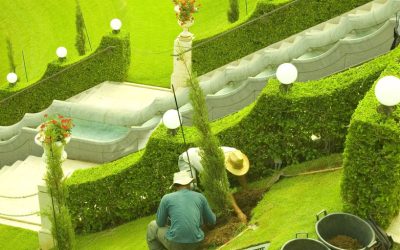 Transform Your Outdoors with Expert Landscaping Design in Alpharetta, GA