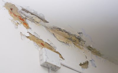 Understanding Water Damage Restoration in Tinley Park, IL for Fast Recovery