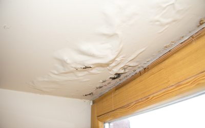 Your Step-by-Step Guide to Hiring a Water Damage Restoration Company in Kansas City, MO