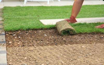 Key Benefits of Buying From a Local Sod Farm in Riverside, CA for Your Home Landscape