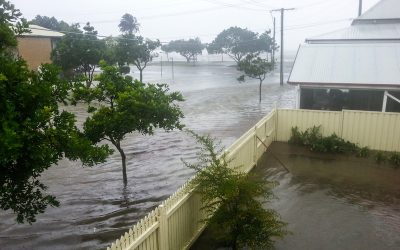 Steps Homeowners Take with Water Damage Restoration Services in Dallas, TX for Recovery