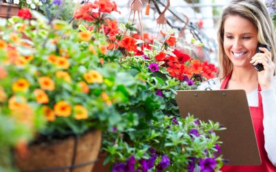 Celebrating Milestones Made Easy With Flowers Boulder City Residents Adore