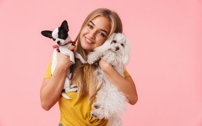 Expert Advice From Local Dog Grooming in Madison, AL for a Shiny Coat All Year