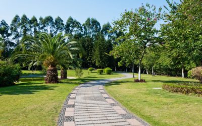 Reliable Drainage Services in Short Hills, NJ for Sustainable Home Protection