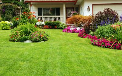 Achieve Even Coverage on Large Lawns with a Commercial Grass Seed Spreader Solution