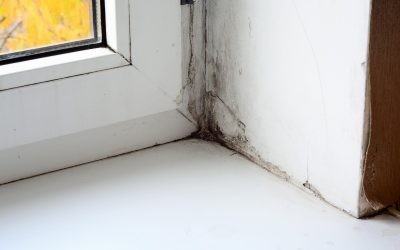Choosing Water Damage Restoration in Joliet IL for Fast Reliable Home Recovery