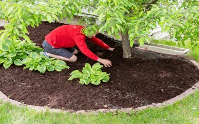 Protect Your Home From Flooding With Reliable Drainage Services in Hillsborough, NJ