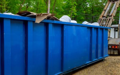 A Practical Guide to Handling Landscape Debris After a Naples Cleanup