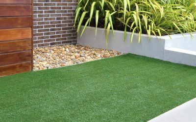 When Replacing a Temecula Lawn Makes More Sense Than Repairing It