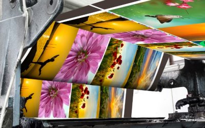 A Guide to Designing Effective Promotional Stickers for Businesses